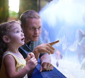Father and daughter looking at fish inside an aquarium. 
