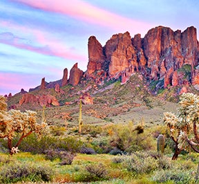 Beautiful Arizona desert landscape.