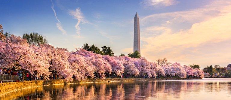 Vacation Rentals in Downtown Washington DC