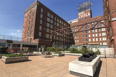 Stay Alfred at Chisca