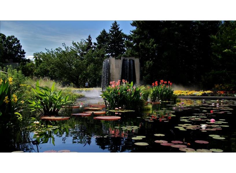 Beautiful Denver Botanic Gardens